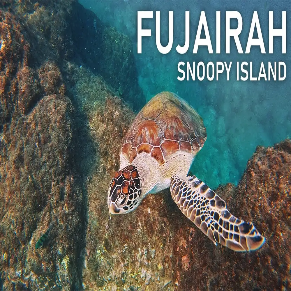 Discover the Hidden Gem of Snoopy Island in Fujairah in 2023